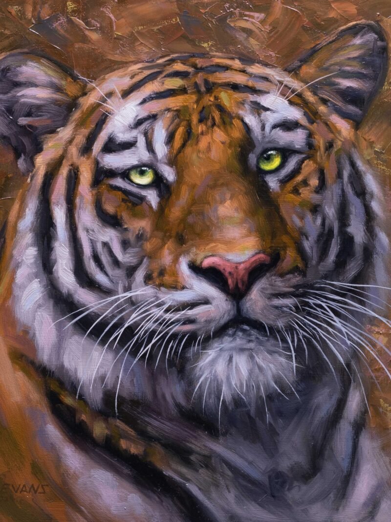 Tiger Study #1